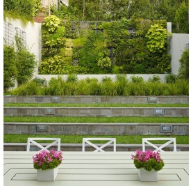 Natural Outdoor Vertical Garden (550 Rs -900 Rs) (Rates / Sqft)